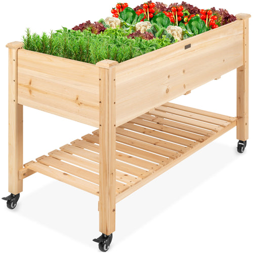 Mobile Raised Garden Bed Elevated Planter w/ Wheels, Shelf - 48x24x32in