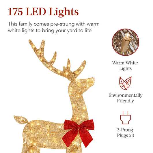 3-Piece Lighted Christmas Deer Set Outdoor Decor with 175 LED Lights