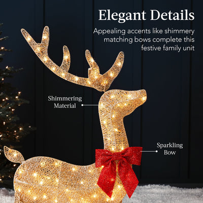 3-Piece Lighted Christmas Deer Set Outdoor Decor with 175 LED Lights