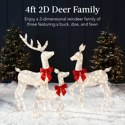 3-Piece Lighted Christmas Deer Set Outdoor Decor with 175 LED Lights