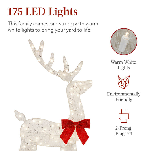 3-Piece Lighted Christmas Deer Set Outdoor Decor with 175 LED Lights