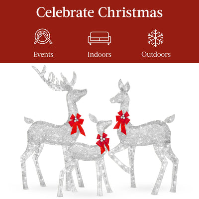 3-Piece Lighted Christmas Deer Set Outdoor Decor with LED Lights