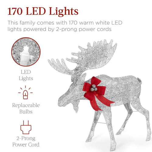 2-Piece Moose Family Lighted Outdoor Christmas Decoration Set w/ 170 Lights
