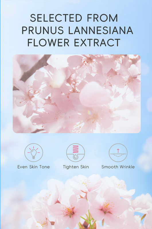 CAVEH long-lasting floral scented sunscreen with Prunus lannesiana flower extract for even skin tone and wrinkle smoothing