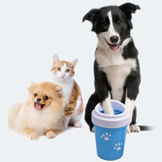 Border Collie using easy clean pet paw washer blue cup with paw prints beside Pomeranian and ginger cat